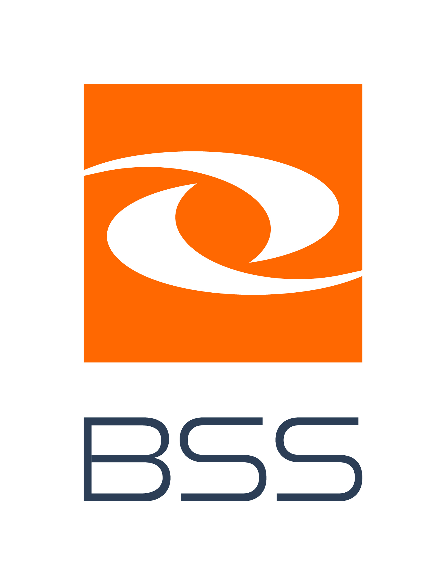 BSS SA