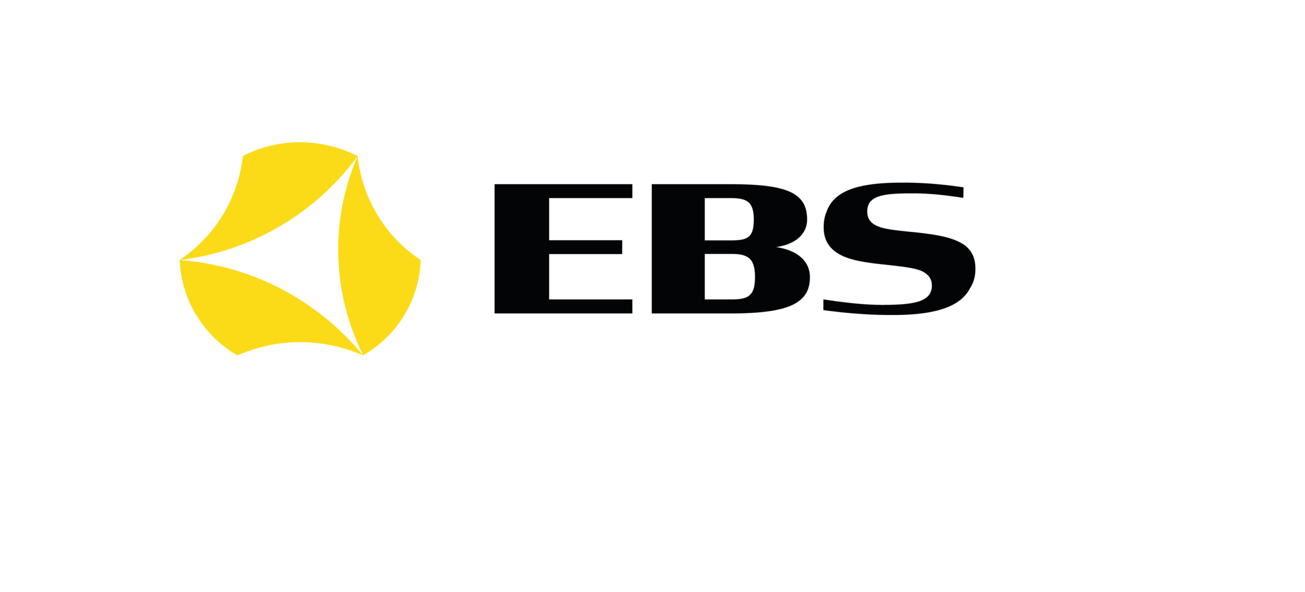 Ebs sp z oo
